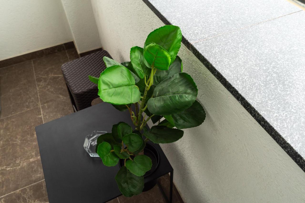 Lux Apartment III 普里耶多尔 外观 照片